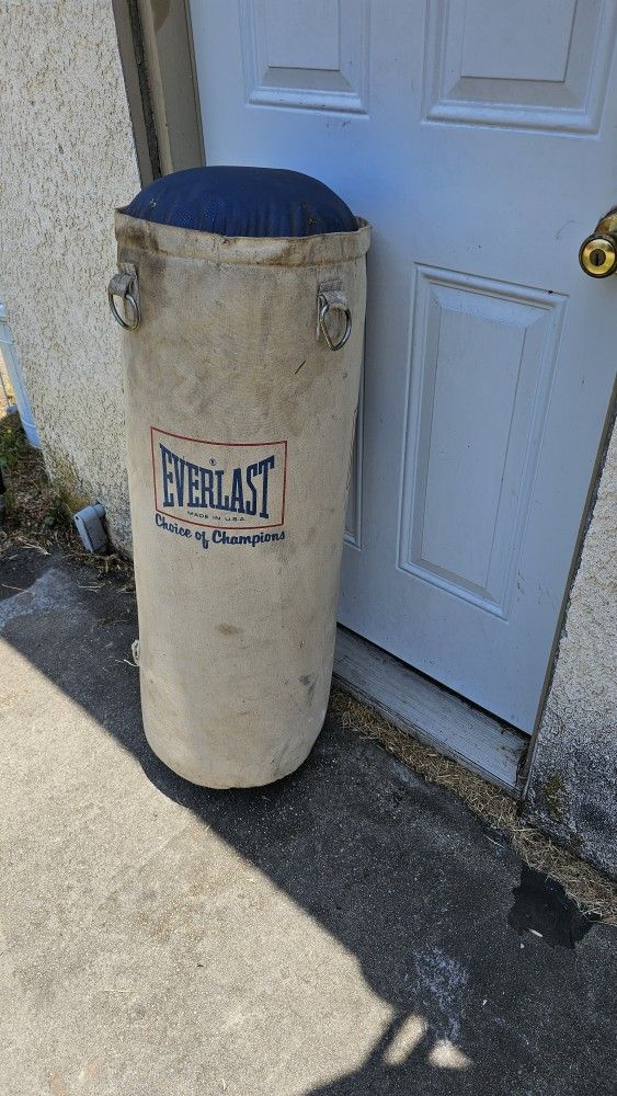 Heavy Duty Punching Bag