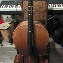 Cello Student 