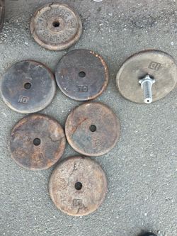 10lb weight plates