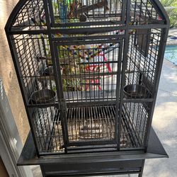 Bird cage
