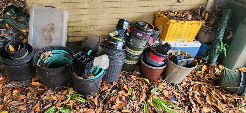 Various Pots For Plants