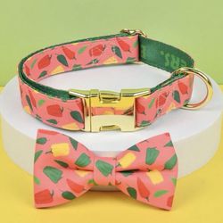 Summer Dog Collar
