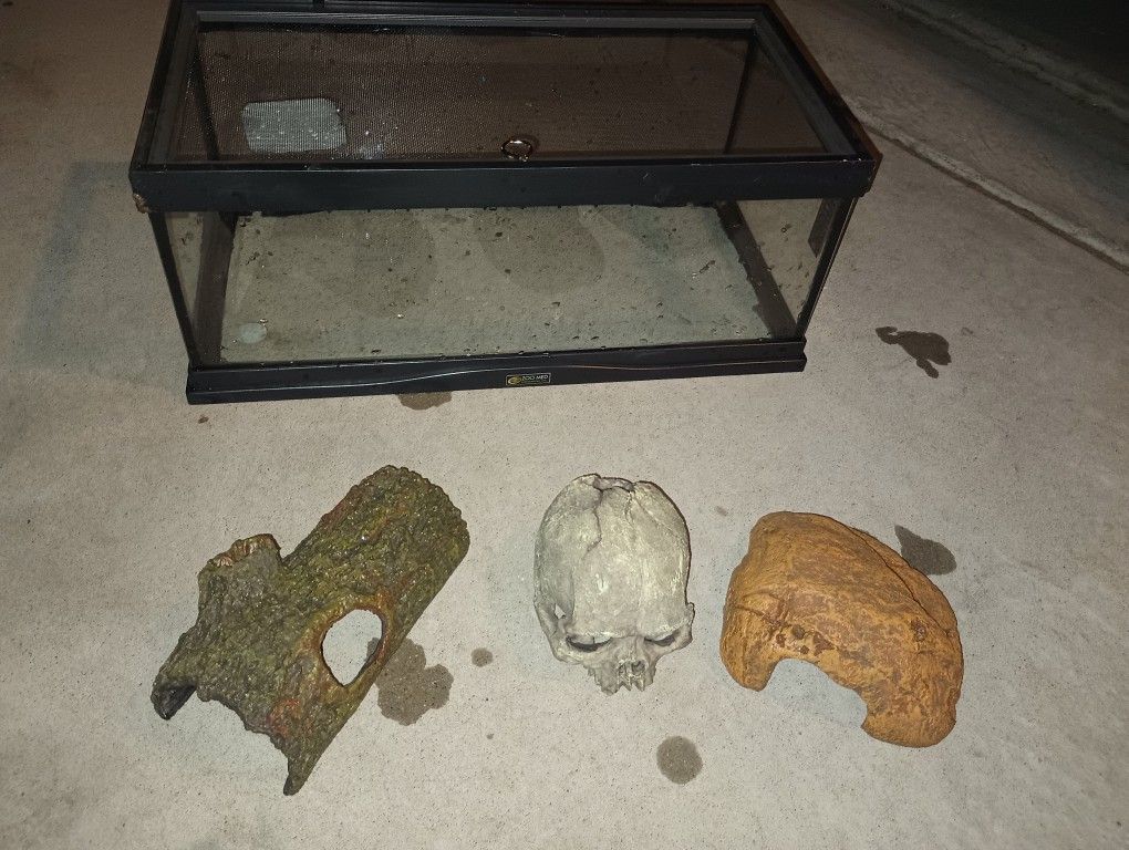 Zoomed Creature Tank (10 Gallon Short) With Decor