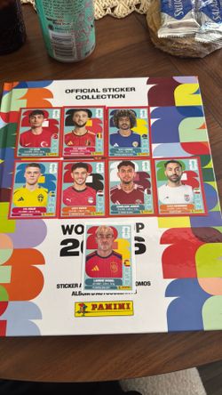 Panini World Cup Stickers