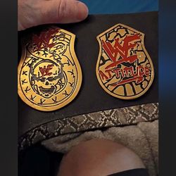 WWF world championship Stone cold edition