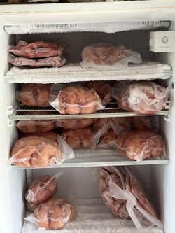 Cornish Chicken & Eggs