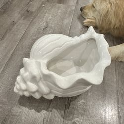 Ceramic Conch Shell Bowl