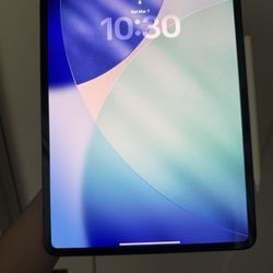 iPad Pro 13” M4 WiFi/ Cellular 