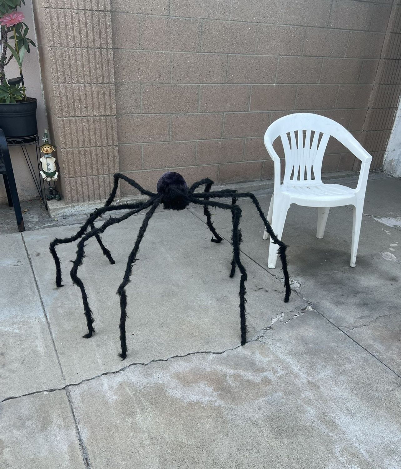 Halloween large spider