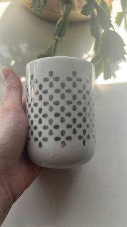 West elm glass w/ silver pattern