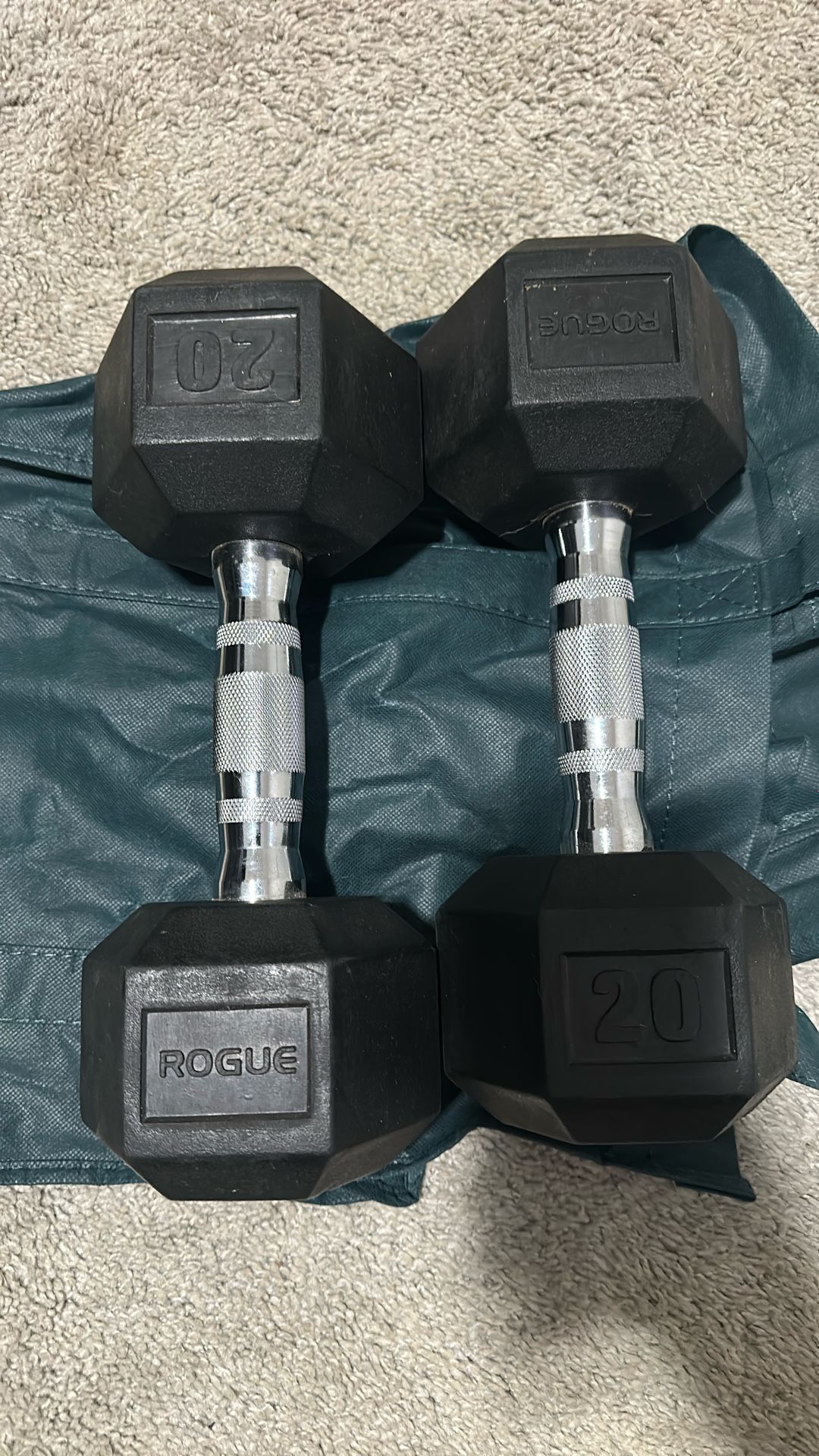 Rogue Fitness 20 lb dumbbells