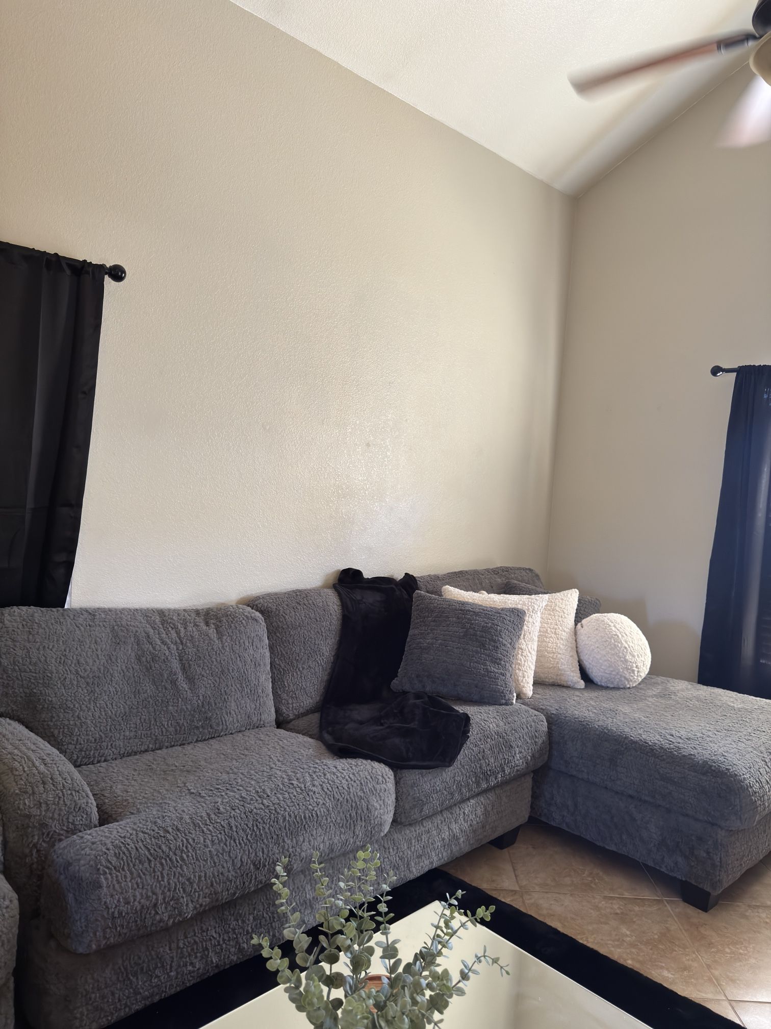 Plush Grey Couch North, Phx