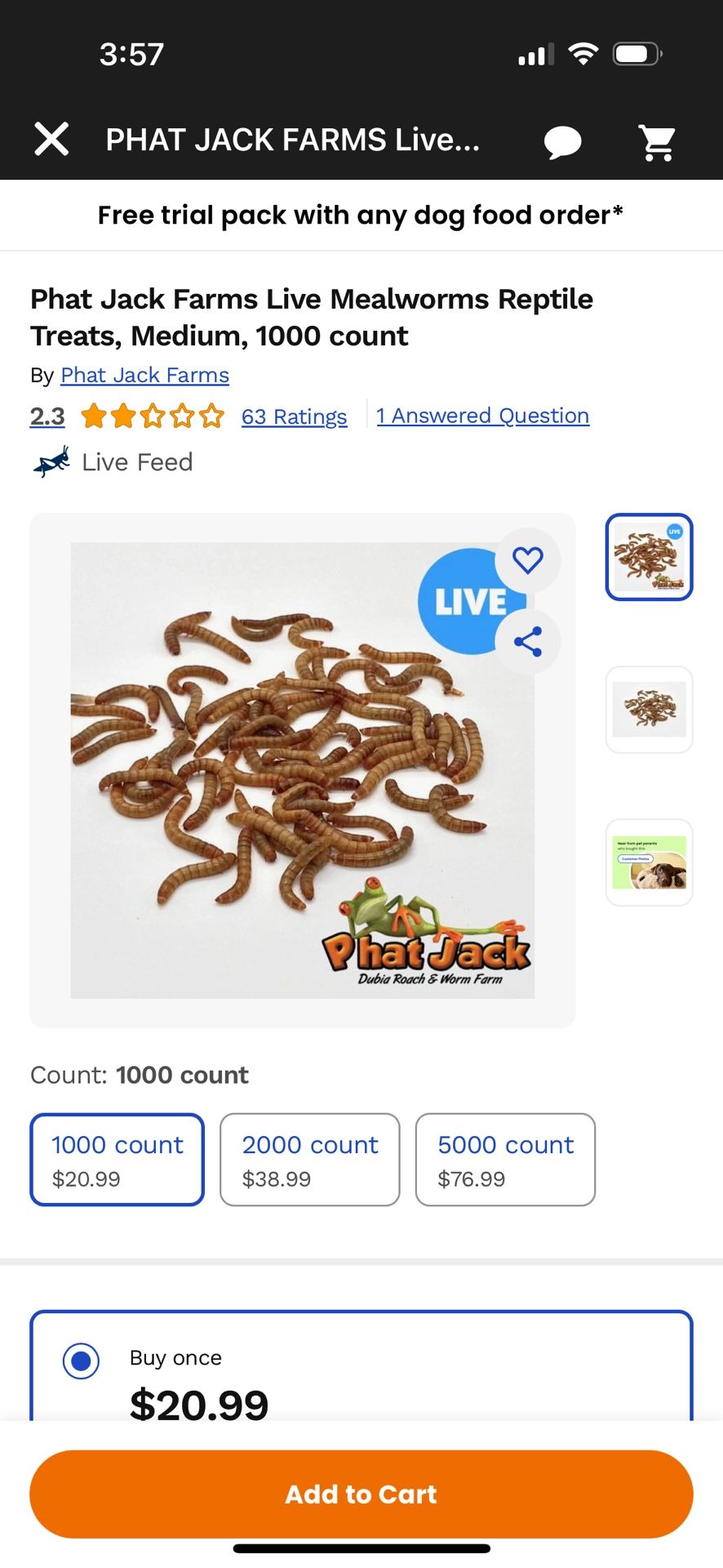 FREE LIVE MEALWORMS