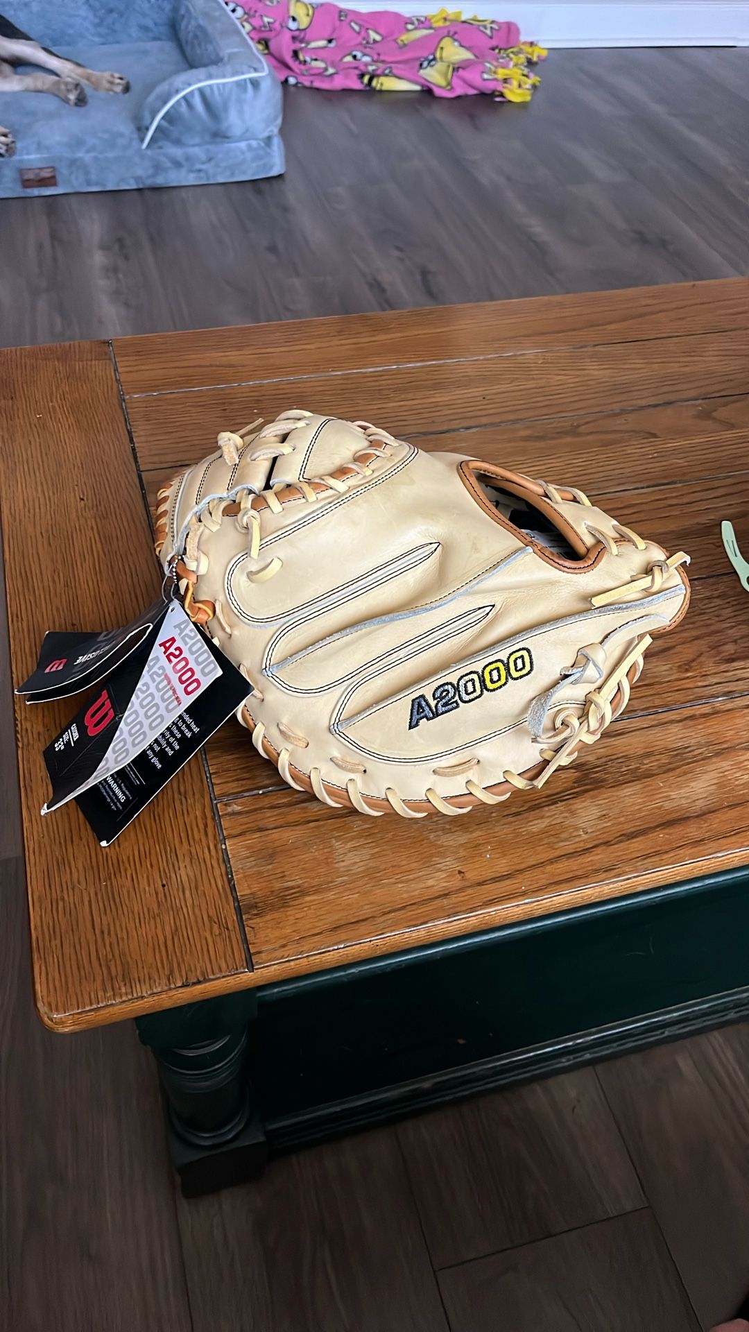 Wilson Catchers Glove A2000