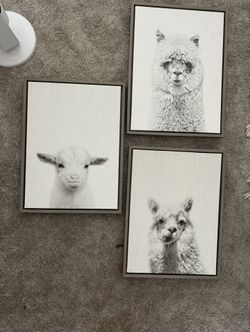Nursery Room Frames Set Of 3