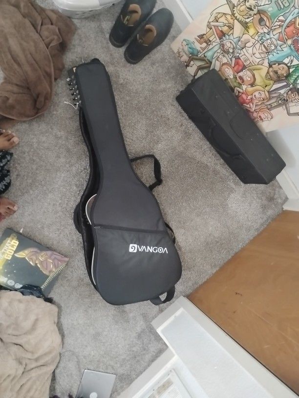 12 String Guitar 
