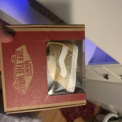 Baby Shoes (vans)