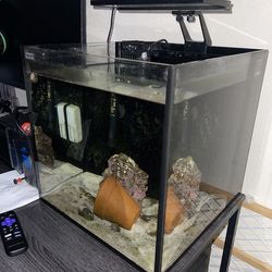 Fish tank innovation marine 15 gallon