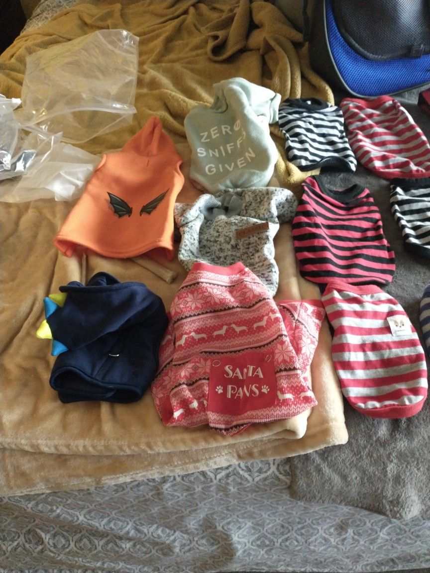 Dog Clothes