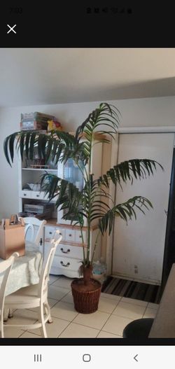 Artificial Tree