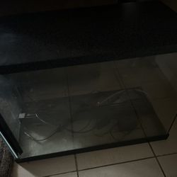 Fish Tank