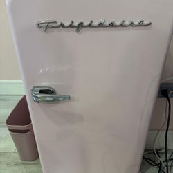 Mini Fridge 