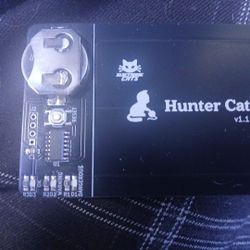Hunter Cat  