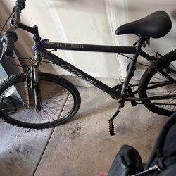 Free Bike