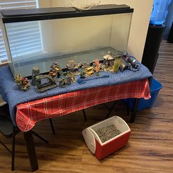 Fish Tank