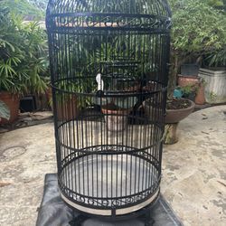 Big Bird Cage 