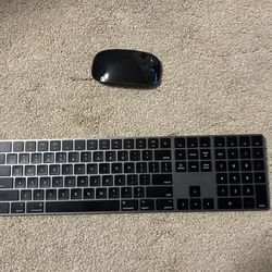 Apple Magic Keyboard and Magic Mouse