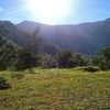 SUNSHINE