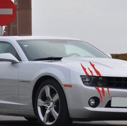 Car monster strip sticker
