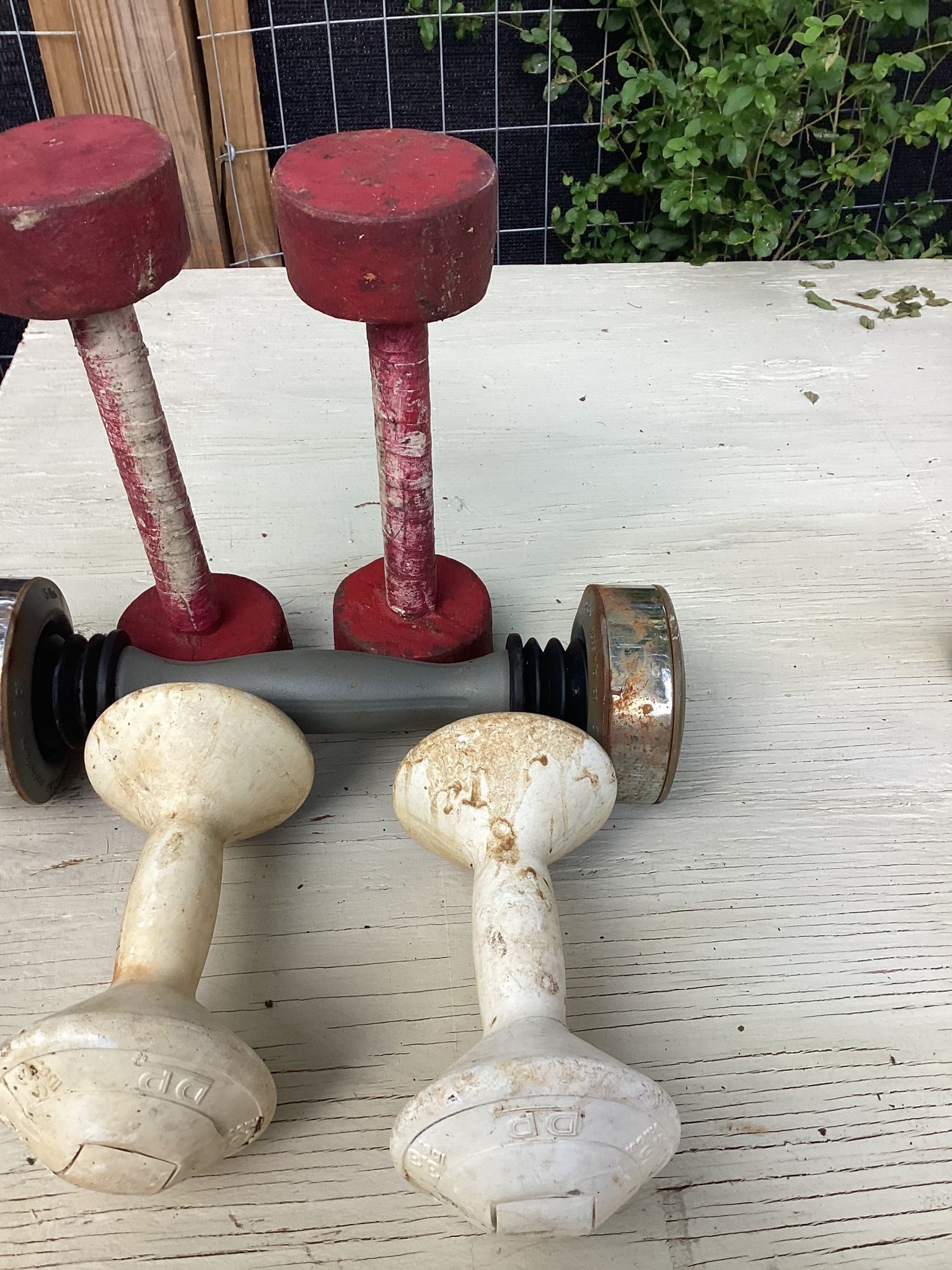 Mini Dumbbells. No(5)