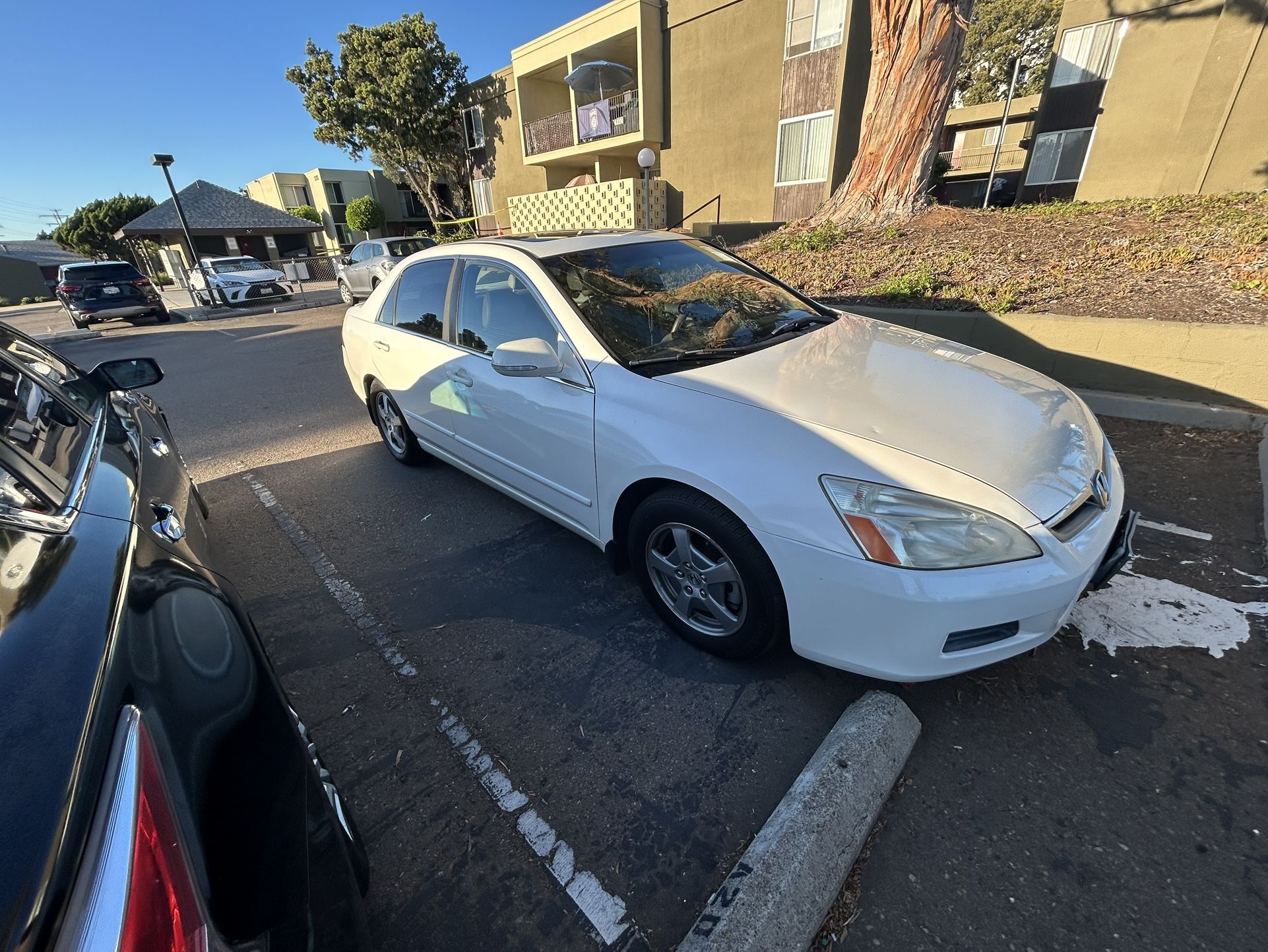 2007 Honda Accord