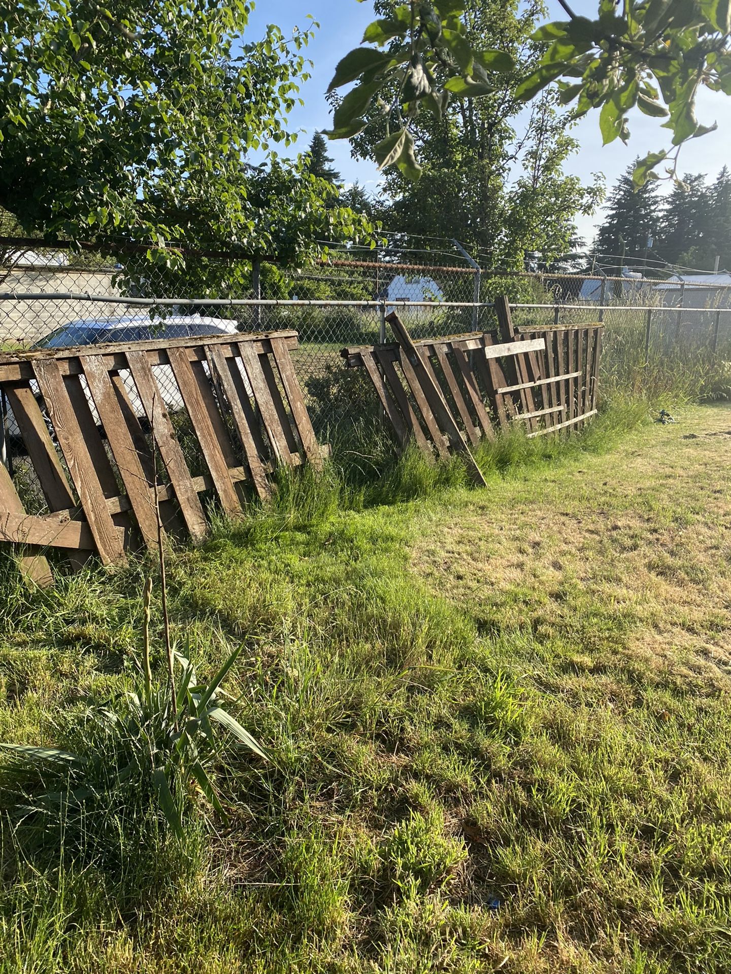 Free Fence Wood