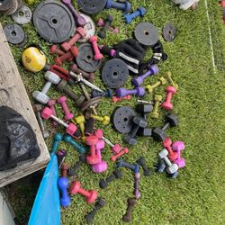 Weights 
