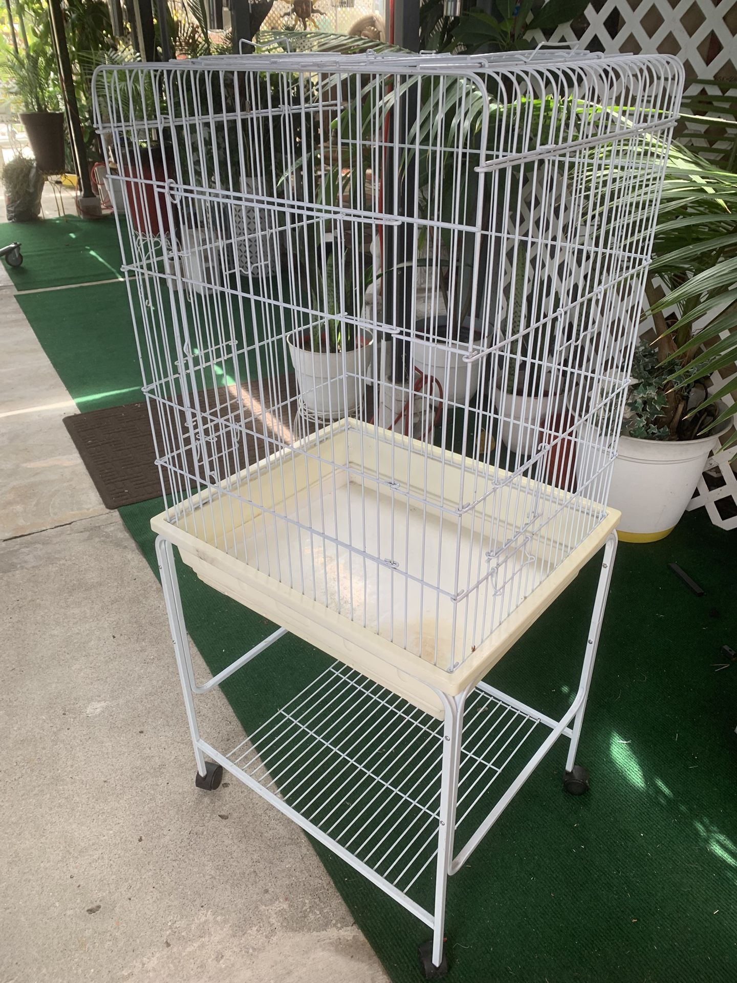 Bird Cage