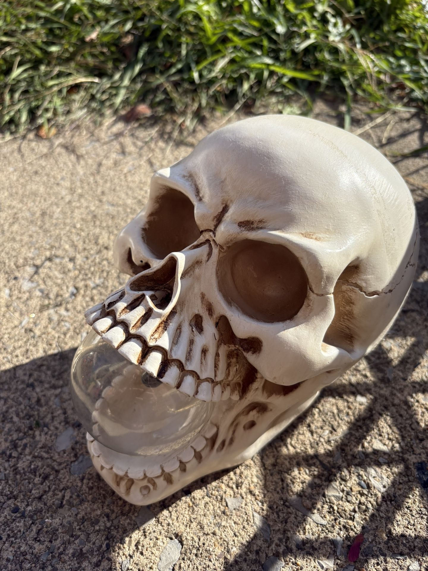 Halloween Decorations