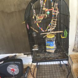 bird cage in good condition