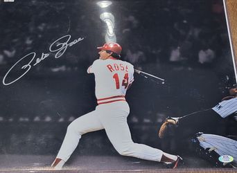 Pete Rose Signed Cincinnati Reds 16x20 Photo AUTO PSA COA