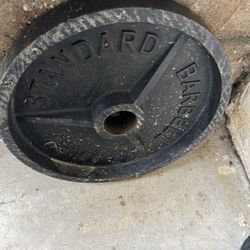 Weights/ Bench 