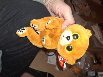 Beanie Bellies Bear Duncan 