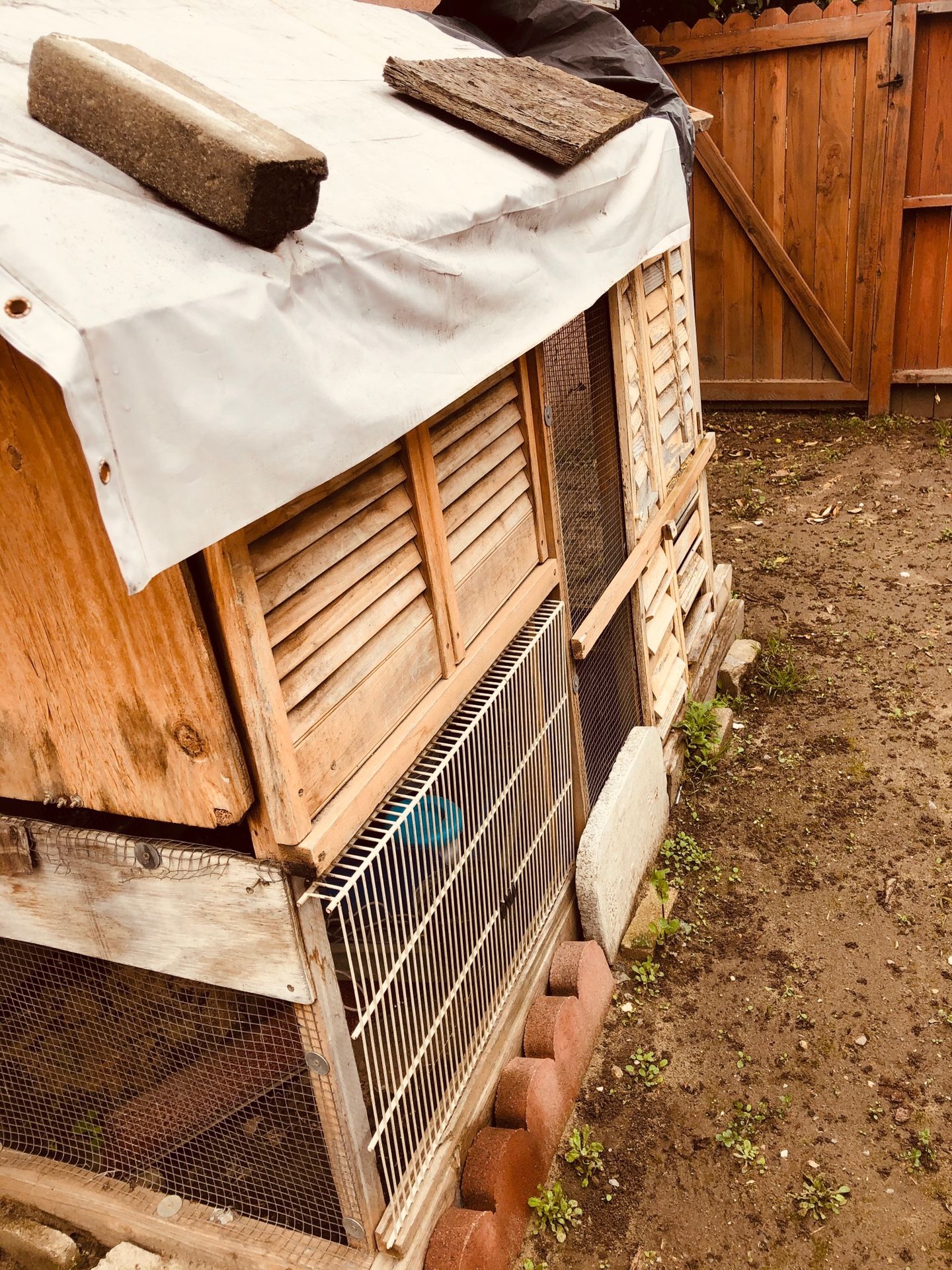 Chicken coop