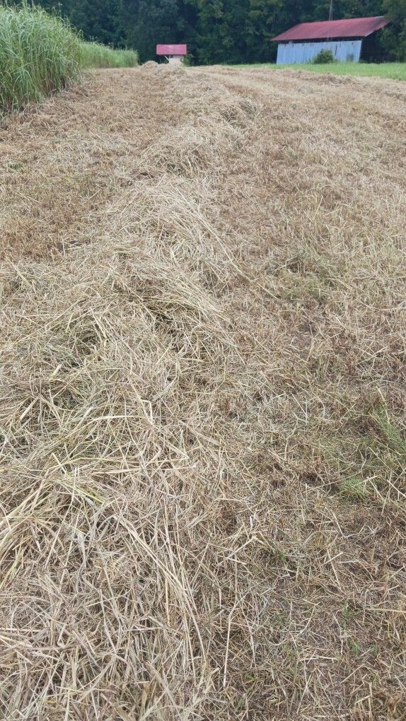 Last Fall Cutting Hay Must Move