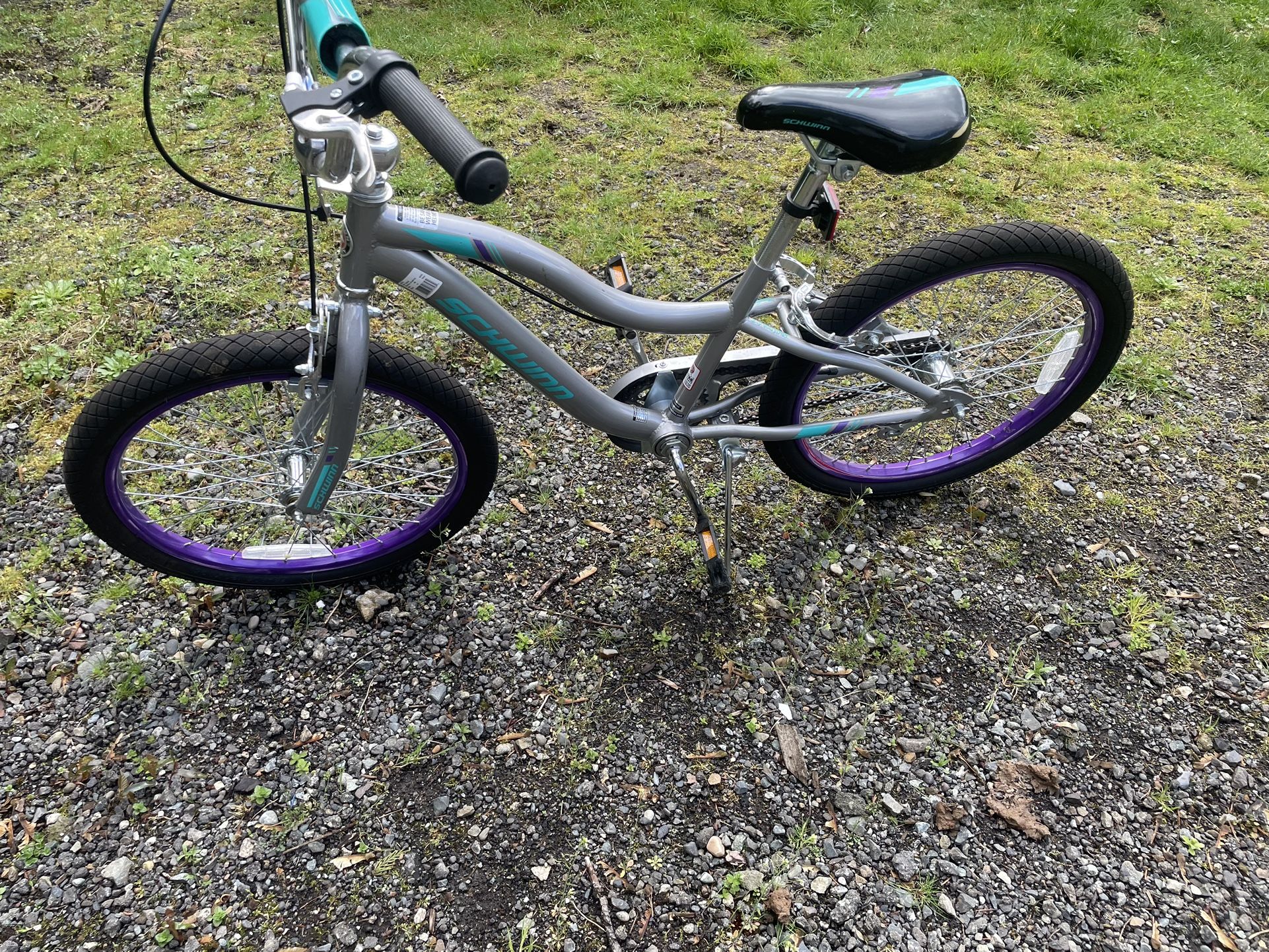 Schwinn 20” Bike