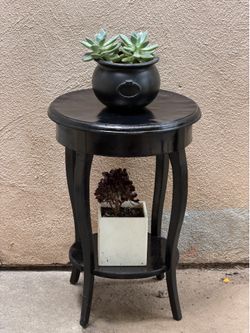 Tabletop plant stand with succulents