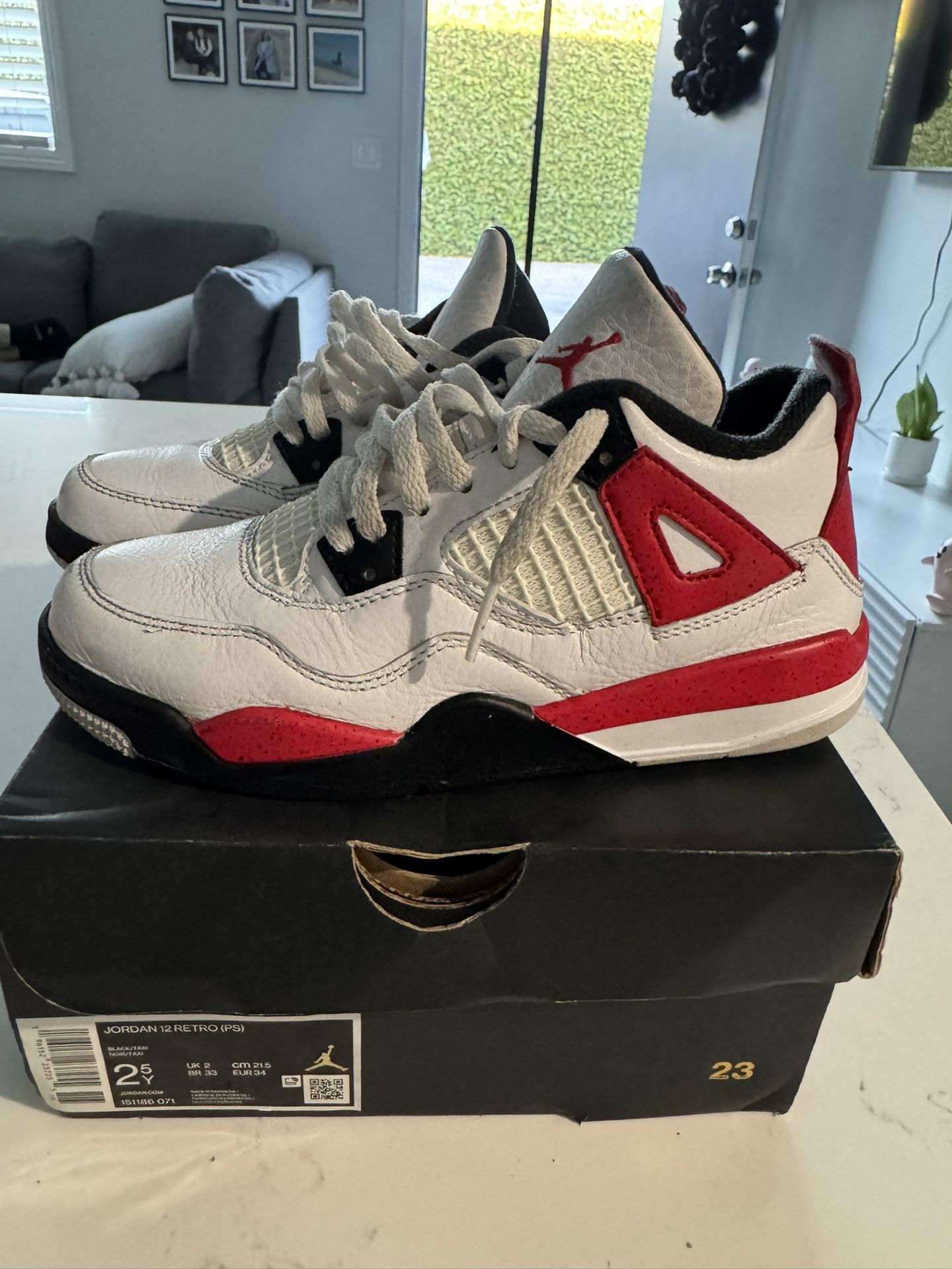 Jordan Retro 12 Kids