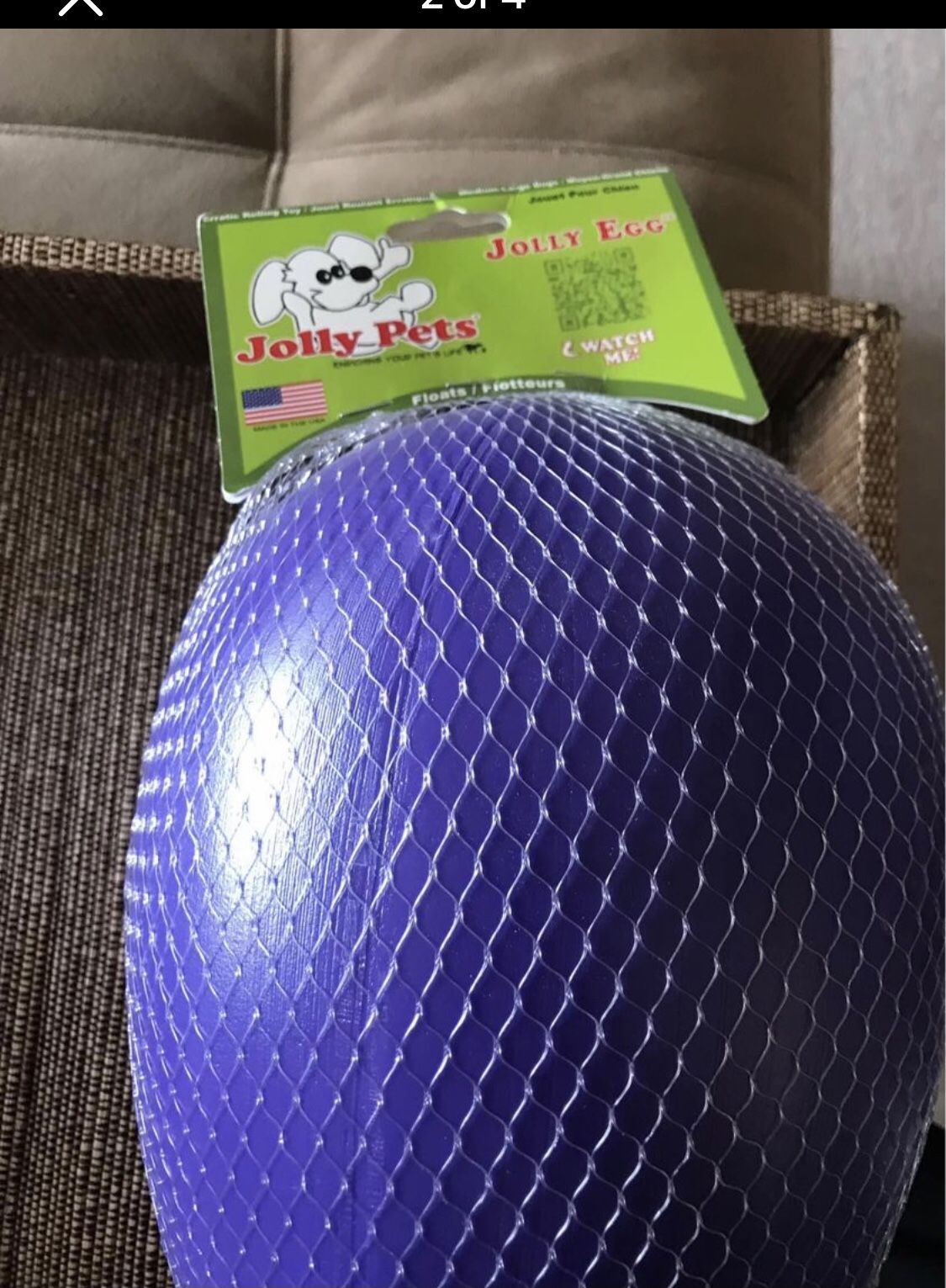 EASTER EGG FOR PETS