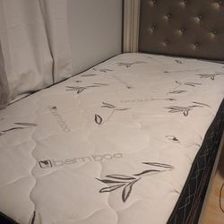 Free  Beds 